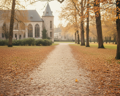 10 leuke herfst- en winteruitstappen in België voor wie minder mobiel is 10 leuke herfst- en winteruitstappen in België voor wie minder mobiel is